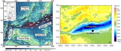 Sedimentary dynamics in southern Mariana Trench and its controlling factors in past 440 kyr